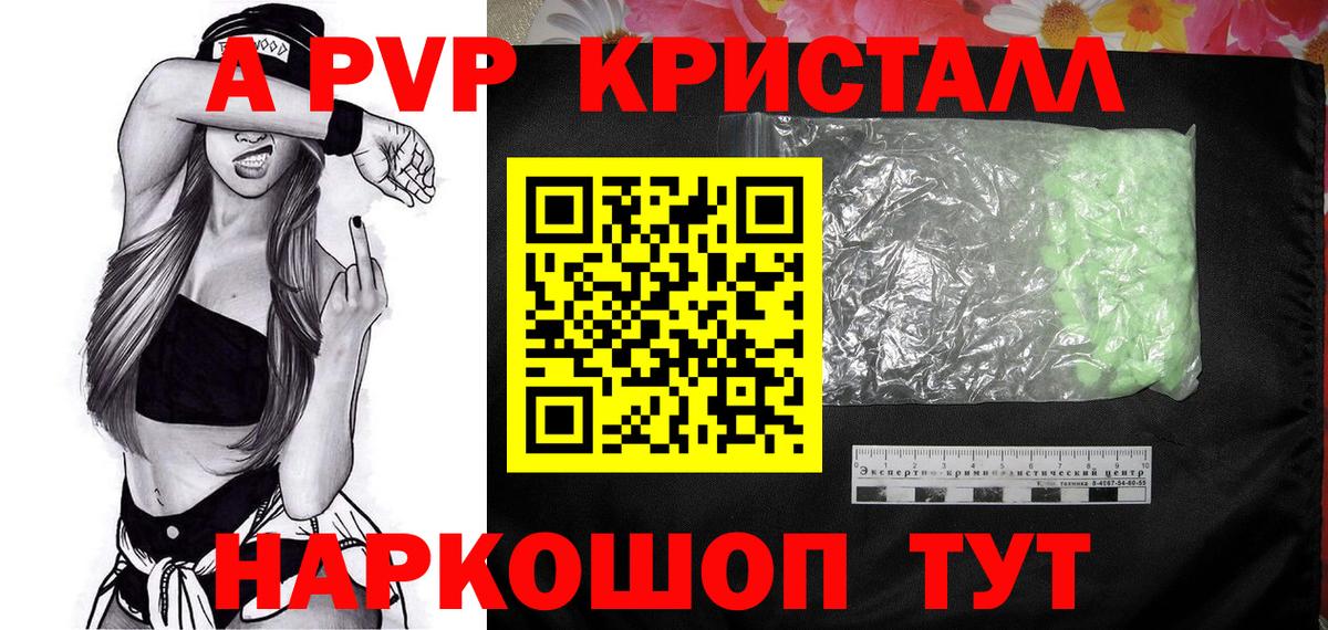 Alfa_PVP СК Краснознаменск