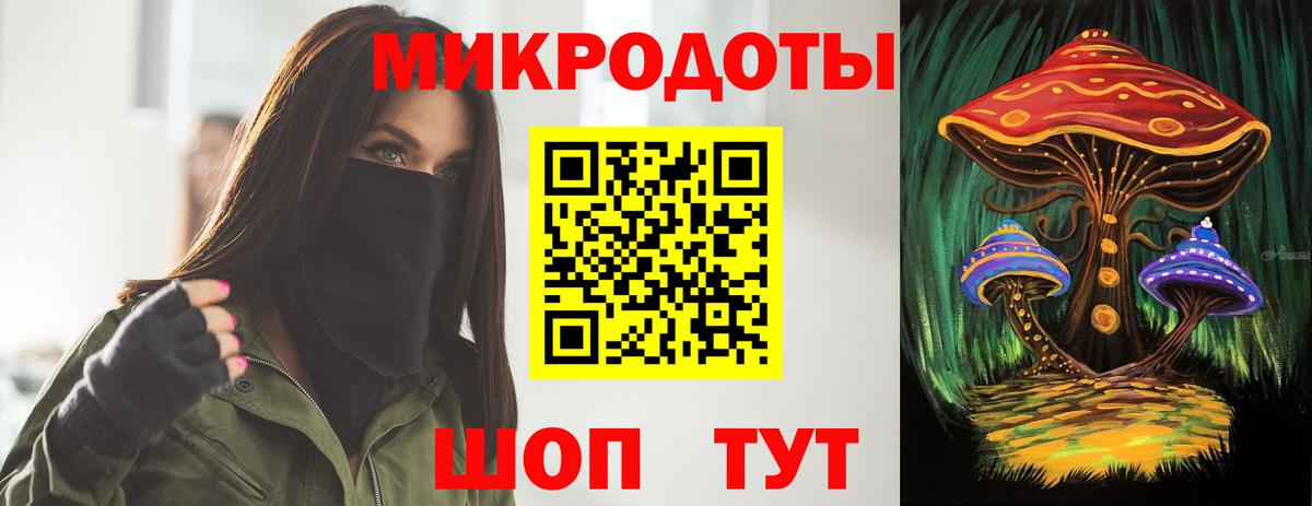 Галлюциногенные грибы Psilocybine cubensis Краснознаменск